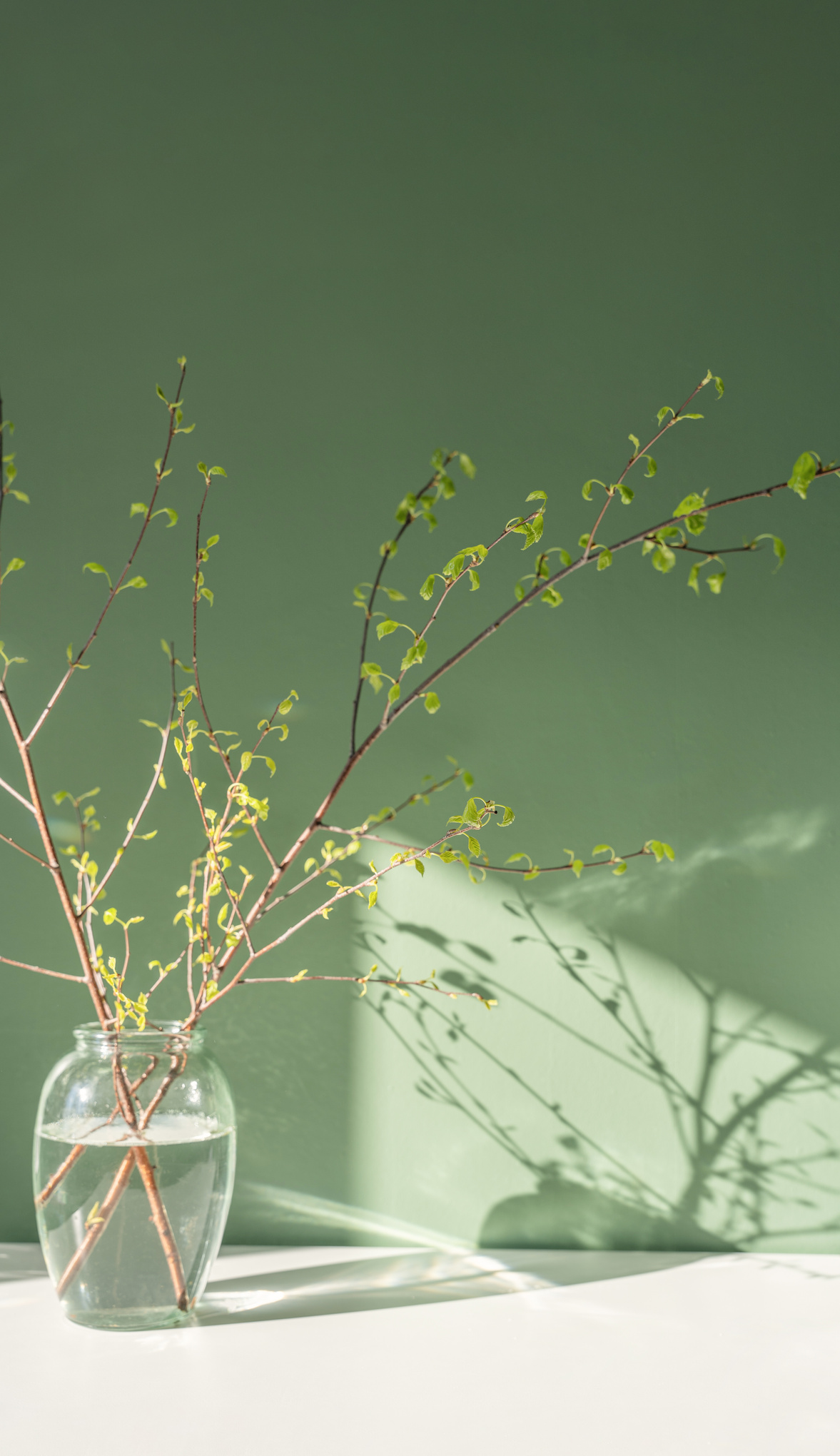 Aesthetic and minimalist spring and Easter background with tree branches in a vase